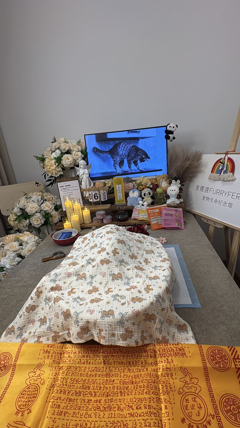 鲜花与烛光